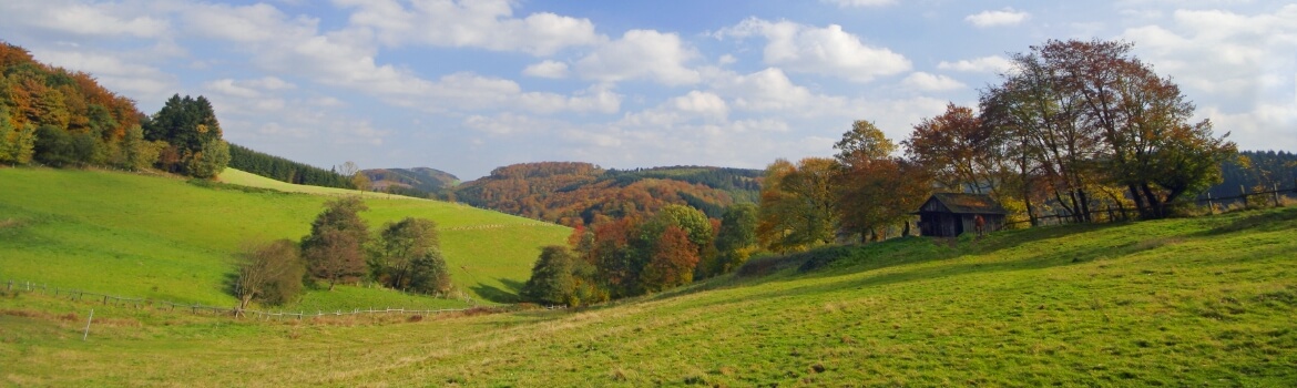 A view of a country-side