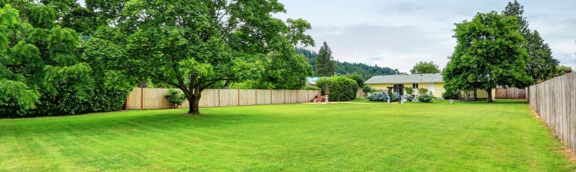 An empty residential lot